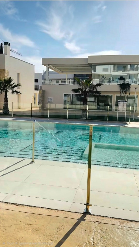 Zwembad en palmbomen