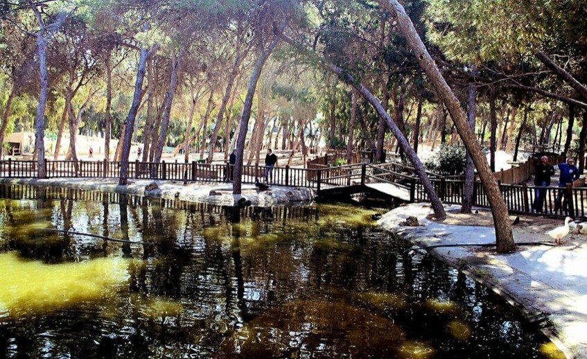 Lagune en pijnbomen in Parque Reina Sofía, Guardamar del Segura